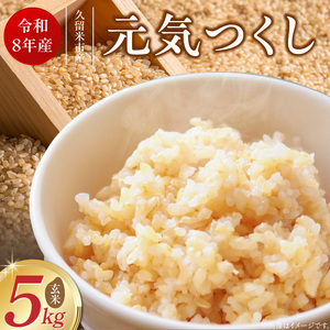 【2026年10月より順次発送】福岡県産ブランド米元気つくし 玄米 5kg【令和8年産 新米】 _  元気つくし 5kg 福岡県産 ブランド米 新米 福岡生まれ 品種 香り豊か ふっくら 食感 ご飯 おにぎり 弁当 お米 食品 お取り寄せ 九州 久留米市産 福岡県 久留米市 送料無料  〔Gr090〕