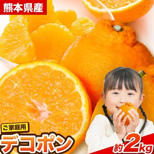 デコポン 訳あり 約2kg デコポン 熊本