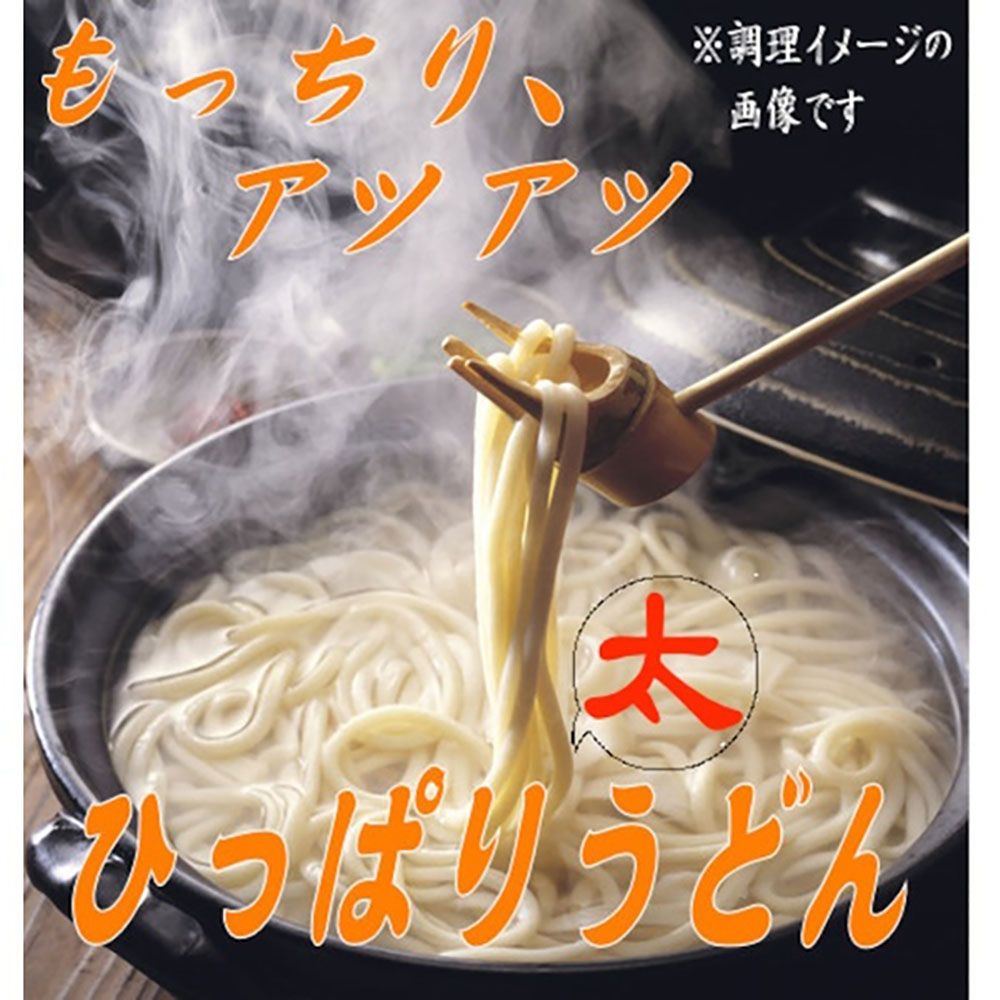 ひっぱり太うどん 260g 10袋入【41155】