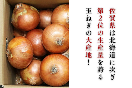 【期間限定】佐賀県産 たまねぎ 10kg 旬 佐賀県 佐賀市 玉ねぎ：B120-079