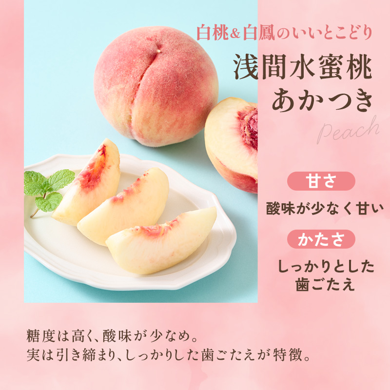 【オンライン決済限定】【2026年8月上旬～発送予定】 先行