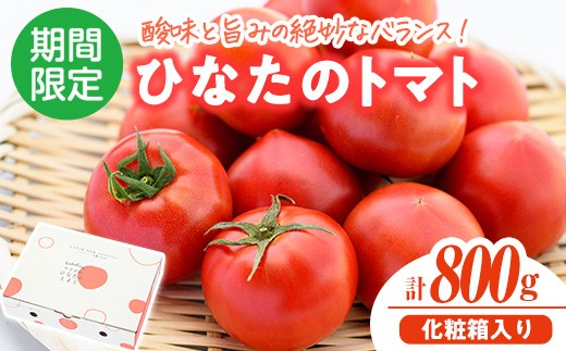 
                  門川ひなたのトマト(800g×1箱) 高糖度 トマト フルーツトマト 野菜 旬野菜 冷蔵 門川町産 宮崎県 門川町 【TM-01】【宮崎県農業協同組合日向地区本部(門川選果場)】
                