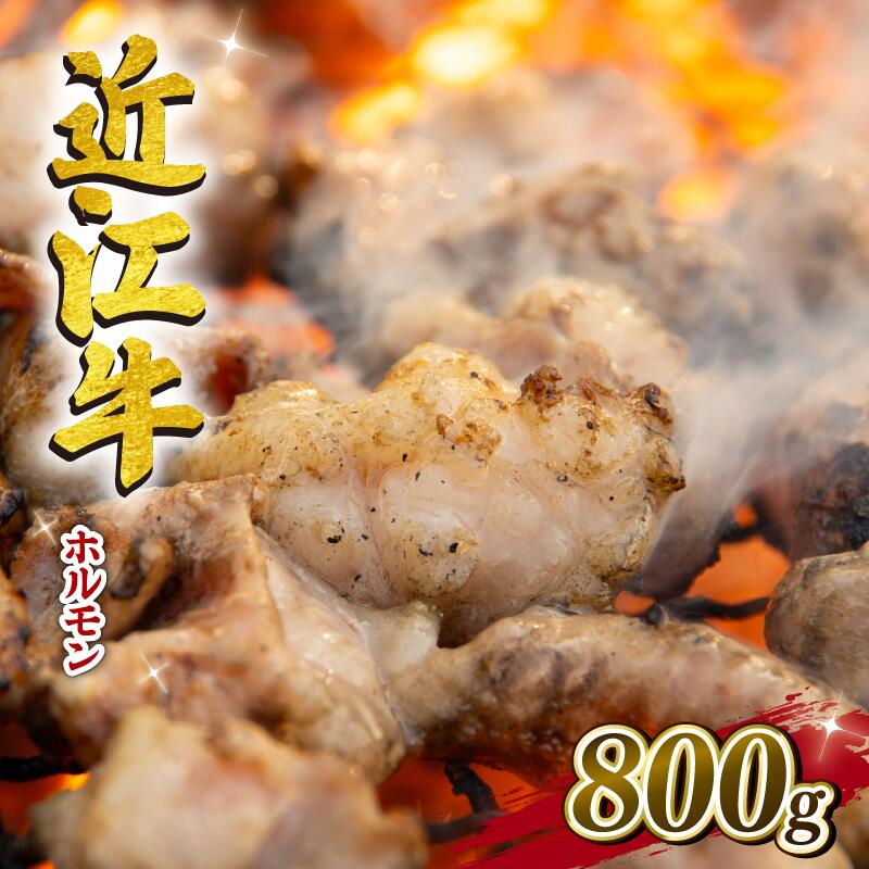 近江牛 ホルモン 焼肉 800g 冷凍 黒毛和牛 和牛 切落し 切り落とし 高級 小腸 マルチョウ 肉 焼き肉 セット もつ モツ鍋 新着 贈り物 ギフト 滋賀県 竜王町 岡喜 神戸牛 松阪牛 に並ぶ 日本三大和牛 10000円 スーパーセール お買い物マラソン