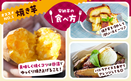 先行予約≪期間限定≫都農町産安納芋(計5kg) 野菜 芋 イモ 国産_T016-0011