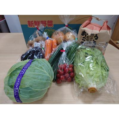 ふるさと納税 茂原市 季節の野菜,農産物と精米2kg
