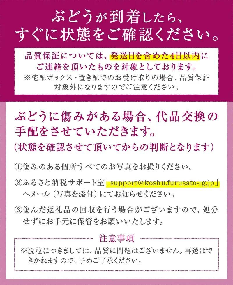 山梨直送 シャインマスカットと黒系ぶどう 2房（計1.2kg以上）【2026年発送】（KFF）B-1421 シャインマスカット 黒系ぶどう フルーツ