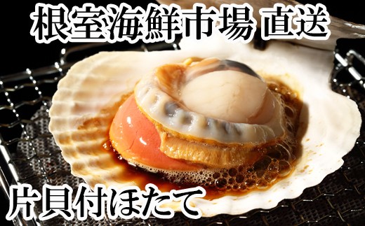 
            G-28044【12/10まで年内配送】  根室海鮮市場＜直送＞片貝ほたて10枚
          