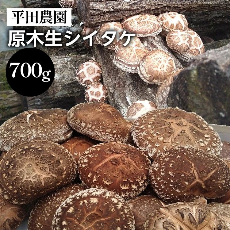 【ふるさと納税】【期間限定】原木生シイタケ 700g《平田農園》京都 亀岡産 原木栽培 生しいたけ 国産 肉厚 濃厚 料理 レシピ 栄養 農家直送 丹波 きのこ 椎茸 ※離島への配送不可 ※2026年3月下旬頃～4月上旬頃に順次発送予定