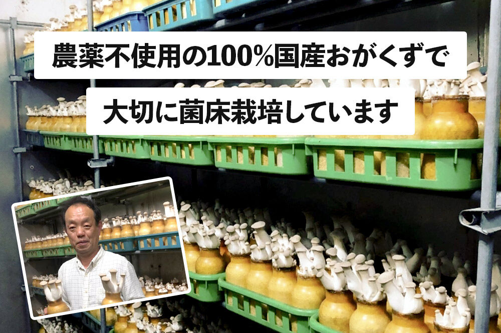 歯ごたえが自慢のエリンギ 中小 約800g [【野菜単品】えりんぎ エリンギ 贈答 ギフト キノコ 群馬県 沼田市]