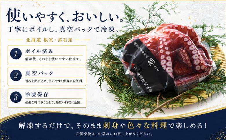 【北海道根室産】柳蛸ボイル5杯(計5kg) D-20011
