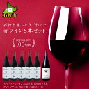 【ふるさと納税】ギフト お酒 ワイン石狩市産ぶどうで作った赤ワイン6本セット（各750ml）6本 2種類 赤白 石狩灯台 デザイン 国産ワイン 北海道 北海道産 お酒 ワイン ワインセット ロゼ 白 二種類 セット ご当地ワイン 御土産 手土産 人気[のし対応]