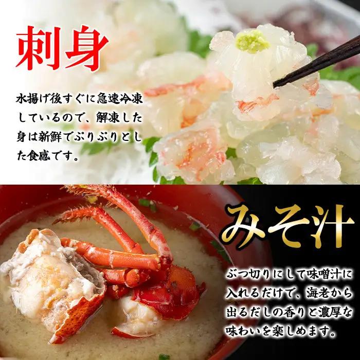 【活き〆冷凍】伊勢海老 刺身 (約850g) 鹿児島 国産 えび エビ 伊勢海老 さしみ【網元】C47002