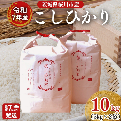 ＼スピード出荷／ 令和7年産 茨城県 桜川市産 こしひかり10kg（5kg×2袋） スピード 最短 7日 すぐ届く すぐ発送 スピード発送 早い 米 お米 白米 コメ ごはん 精米 コシヒカリ 国産 限定 銘柄米 [SC050sa-sp]