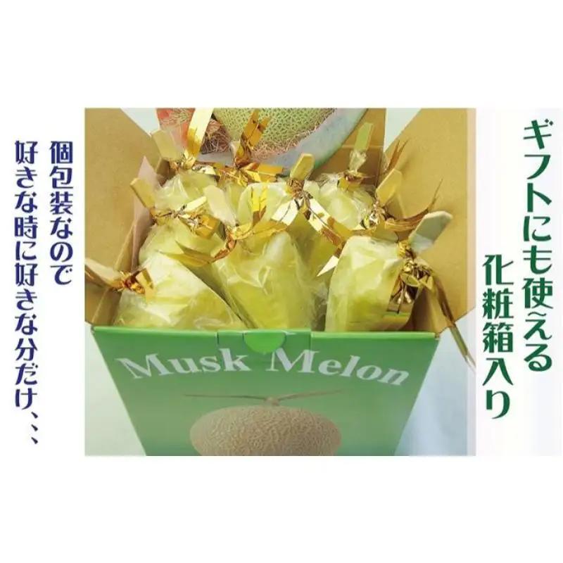 アイススティック 10本 6ヶ月 フルーツ 果物 メロン