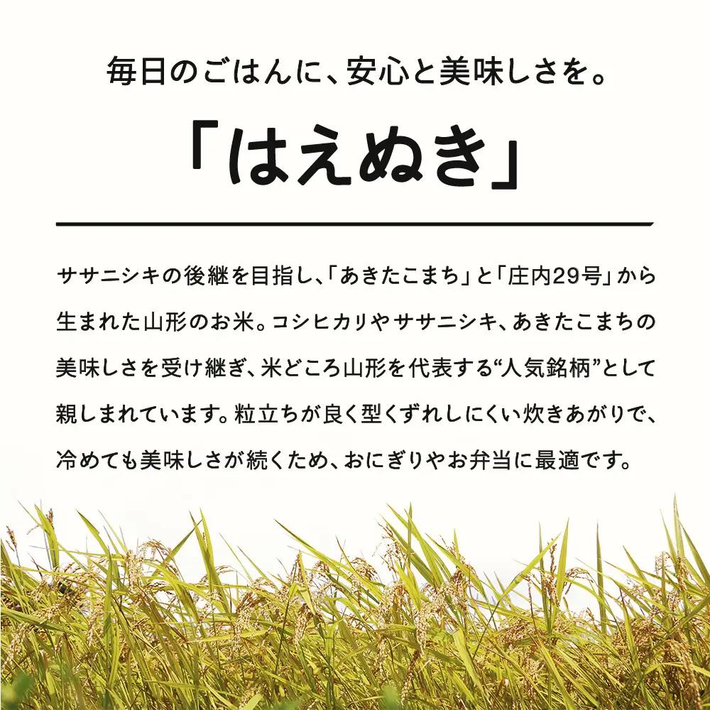 【先行予約】＜新米＞ はえぬき 精米 20kg 1月上旬~1月中旬発送 国産 お米 山形県産 山形産  おすすめ 20kg 20キロ 20きろ 令和8年産 2026年産 沖縄・離島への配送不可 コメ 