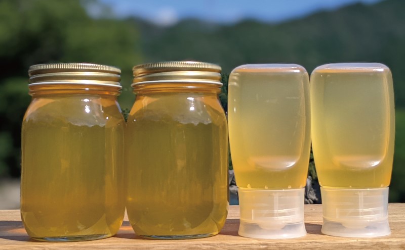 合計1800g 天然蜂蜜 国産蜂蜜 非加熱 生はちみつ 岐阜県 美濃市産 初夏 (蜂蜜600g入りガラス瓶2本、蜂蜜300g入りピタッとボトル2本のセット)B16 深田養蜂のハチミツ