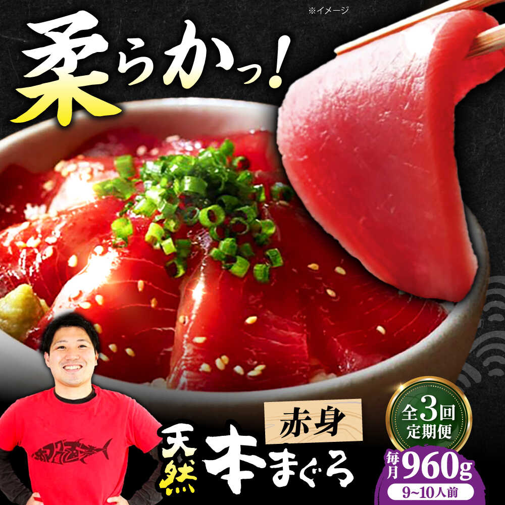 【ふるさと納税】【全3回定期便】極上！たね熟天然本まぐろ赤身(960g) 天然 マグロ 鮪 赤身 刺身 魚 魚介 大阪府高槻市/本まぐろ直売所[AOCE019]