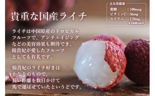 ＜宮崎県産 生ライチ 大粒12個入り＞