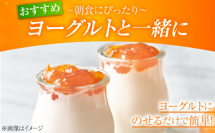 人気のお土産！リピート率ナンバーワン！中下農園の『ネーブルマーマレード』（箱入り・大6個）　みかん 果物 マーマレード ママレード ジャム パン 広島県産 江田島市/江田島市観光協会 [XAI008]