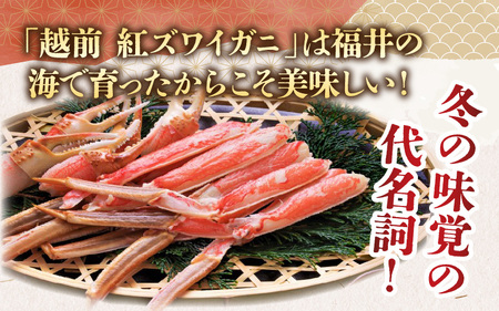 【先行予約】【12月発送】【数量・期間限定】福井県産 越前 紅ズワイガニ ×1杯【急速冷凍】(プロトン凍結)