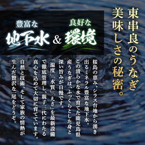 ＜数量限定・メガサイズ＞「養鰻業者応援」 うなぎ 蒲焼 (無頭)(2尾・計約540g・タレ、山椒付) 高級 ウナギ 鰻 国産 たれ 鹿児島 ふるさと 人気【アクアおおすみ】【0164361a】