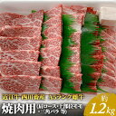 【ふるさと納税】【近江牛 西川畜産】A5ランク雌牛 焼肉用 約1.2kg （肩ロース・上部位モモ・三角バラ等）　【 ふるさと納税 近江牛 お肉 牛肉 焼肉 バーベキュー ロース 】　お届け：繁忙期に限り納期最長3～5ヶ月。納期指定不可