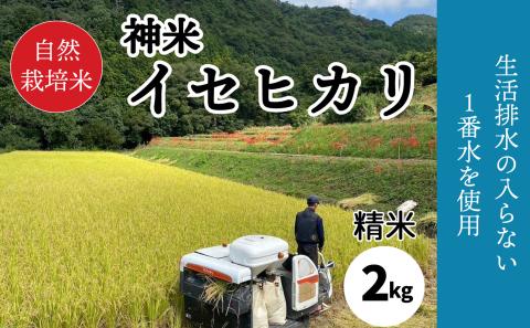 【2024年 9月中旬から発送】新米 精米 自然栽培米 "神米" イセヒカリ 2キロ 精米 白米
