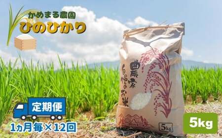 【定期便12回】 かめまる農園の「ひのひかり」5kg×12回