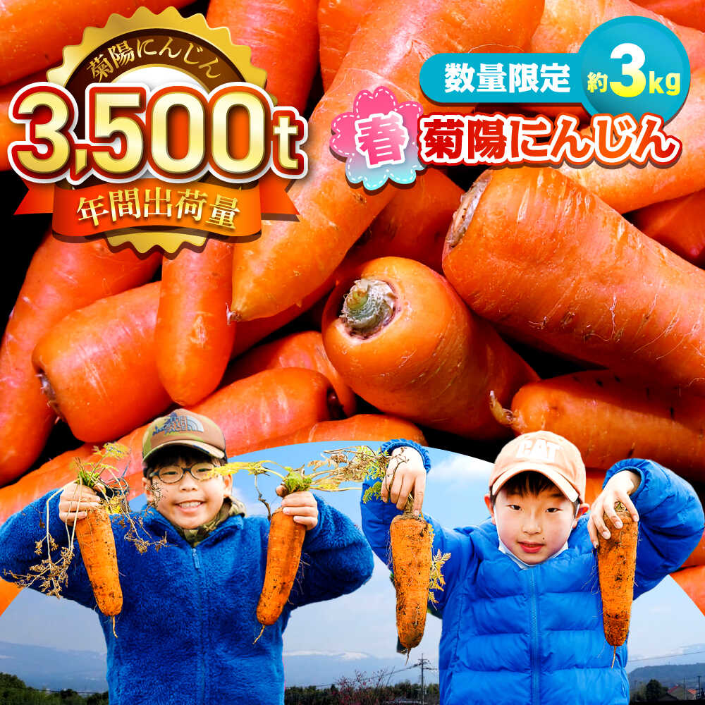 【ふるさと納税】【数量限定】菊陽町の春にんじん(菊陽にんじん) 約3kg / 人参 にんじん ニンジン 菊陽にんじん 春にんじん 3キロ 野菜 キャロット サラダ 甘い 熊本県 菊陽町【有限会社さんふれあ】[BHAK003]