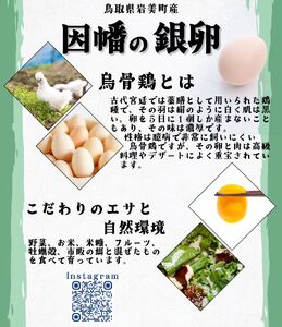 烏骨鶏＆岡崎おうはん薬膳鶏の自然な恵み！卵ペアセット【33003】