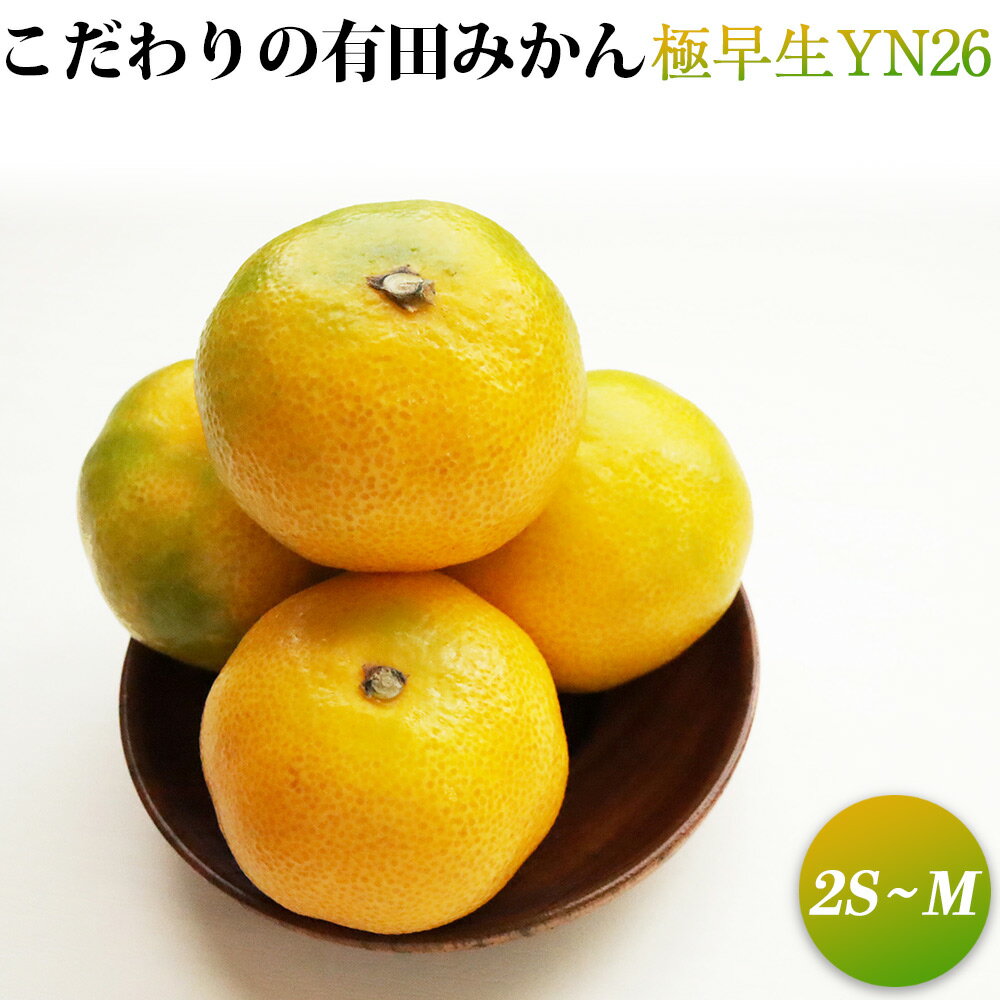 【ふるさと納税】【2025年先行予約】こだわりの有田みかん 極早生 YN26 2kg 2S～Mサイズ 【訳あり 家庭用】【ミカン 蜜柑 柑橘 温州みかん 和歌山 有田 】