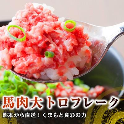 ふるさと納税 水俣市 熊本直送　馬刺しブロック肉　上霜降り(トロ)300g+大トロフレーク200g(水俣市) |  | 01