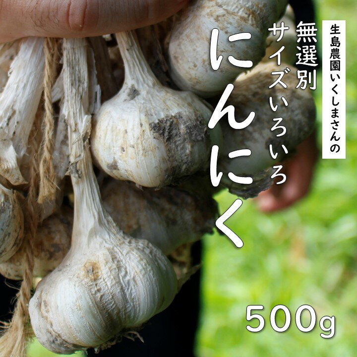 【ふるさと納税】【先行予約】ニンニク 生島農園 いくしまさんのにんにく（500g）サイズ無選別 ｜ イタリアン 居酒屋メニュー 常備菜 多用途 ※離島への配送不可 ※2026年7月上旬～11月下旬頃に順次発送予定