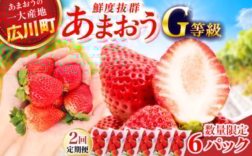 【2回定期便】 あまおうG等級 3ケース（270g×6パック） 広川町 / JAふくおか八女農産物直売所どろや [AFAB085]