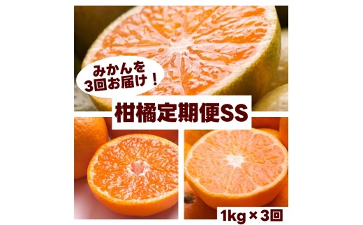 
                  【厳選と家庭用が選べる！】柑橘 定期便 SS【全3回】厳選【 和歌山県 有田 】
                