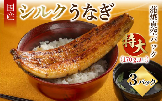 シルクうなぎ蒲焼真空パック 特大（170ｇ以上）×３パック【うなぎ 国産 3尾 うなぎ蒲焼 ギフト 冷凍 鰻 ウナギ 蒲焼 蒲焼き うなぎの蒲焼き やなのうなぎ 観光荘】