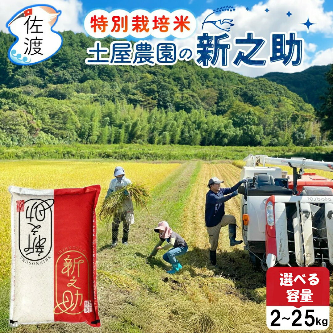 【ふるさと納税】佐渡島産新之助 白米 選べる容量 2kg 5kg 10kg 15kg 20kg 25kg 土屋農園 特別栽培米 令和7年産【食の宝島佐渡】