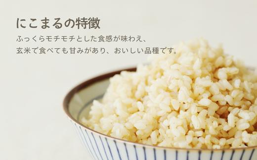 安心・安全なお米です。ぜひ、お召し上がりください！