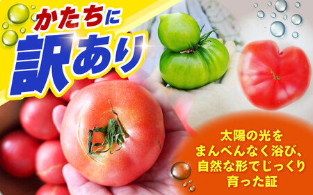 【1～4月発送】 訳あり トマト （カレン） 2kg 【にしやまファーム】[HDI001]