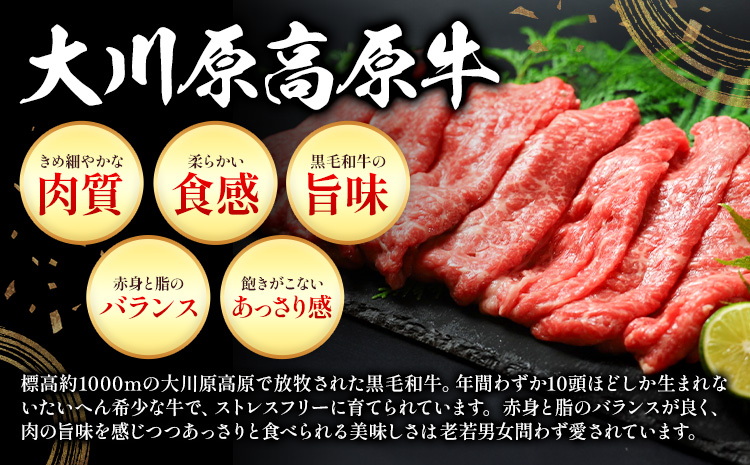 《定期便》全4回お届け！大川原高原牛 特選ロース(しゃぶしゃぶ・ステーキ・焼肉・スライス 各500gずつ) 株式会社肉の藤原 《お申込み月翌月から出荷開始》牛肉 定期便 月1回 徳島県 佐那河内村 s