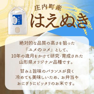 ふるさと納税 庄内町 渡會さんのうまい米!はえぬき 10kg 5kg×2袋 令和7年産 2025年産 ブランド米 |  | 01