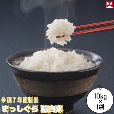 ふるさと納税 弘前市 まっしぐら 白米 10kg 青森米 令和7年産 青森県弘前市|24_rap-201001