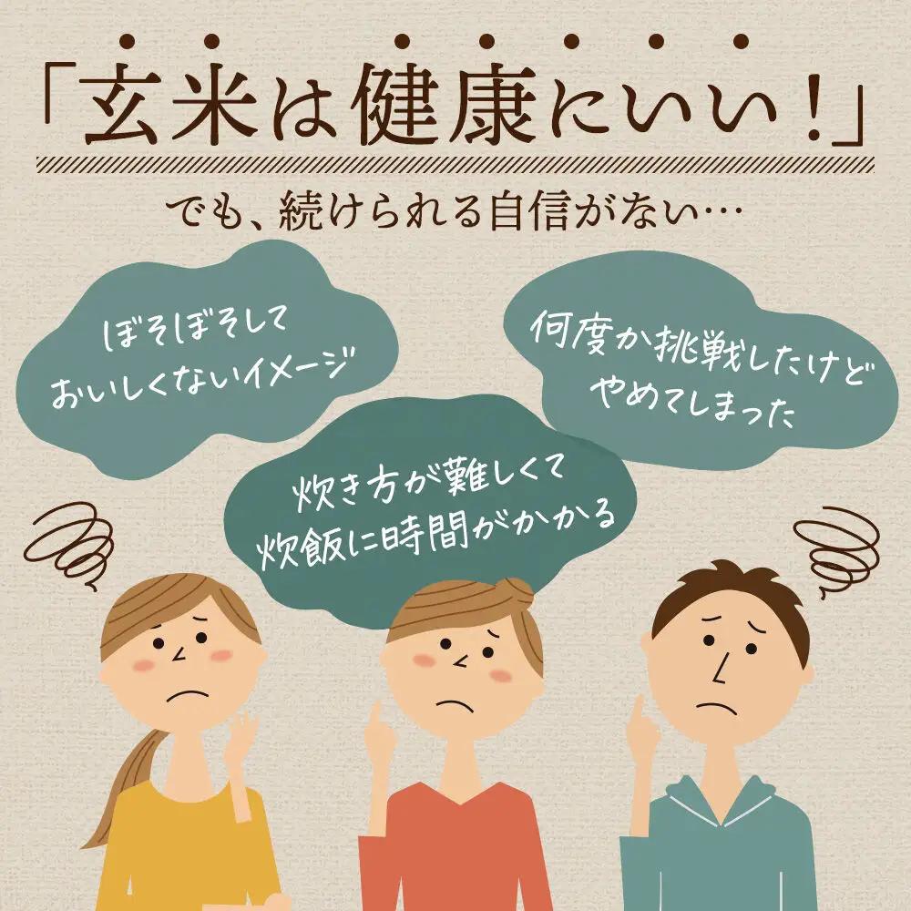 【玄米】米 金のいぶき 8kg(2kg×4袋) 令和7年産