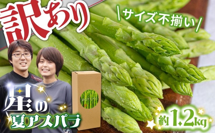 
            【2025年7月～発送】【訳あり】【星のアスパラ】グリーンアスパラガス 約1.2kg 【L・M・S】 / 訳アリ 規格外 産地直送 アスパラ あすぱら あすぱらがす 採れたて 新鮮 旬 産地直送 / 南島原市 / ほしのYA [SEY015]
          