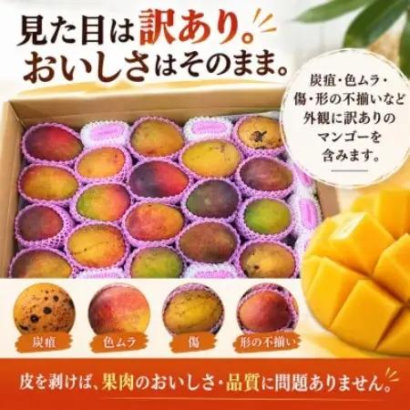 【2027年6月下旬から順次発送】マルトウマンゴーの訳ありアップルマンゴー2kg【配送不可地域：離島】【1781225】