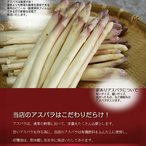 【2027年春発送】訳あり ホワイト アスパラ サイズ混合 【1kg】65本前後 富良野産 アスパラガス 大容量