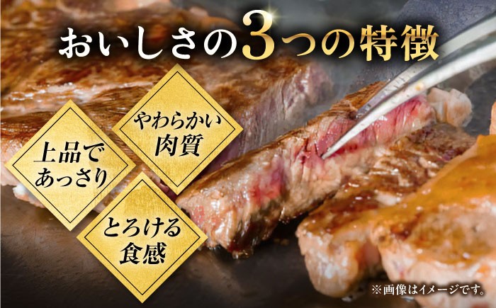 ステーキ 人気 和牛  長崎和牛 希少 柔らかい やわらかい 贈り物 ギフト  