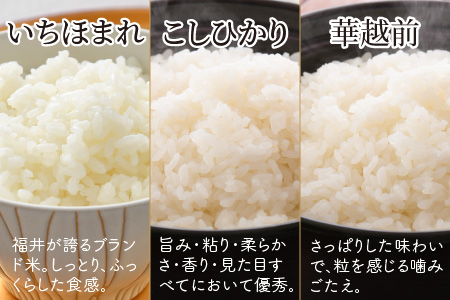 【令和7年産・新米】 定期便 ≪3ヶ月連続お届け≫ 福井産無洗米 いちほまれ こしひかり 華越前 各2kg × 3回 計18kg 【 無洗米 人気 品種 ブランド米 特A 】 [I-6104]