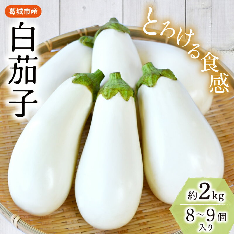 【ふるさと納税】とろ～り旨なす(白茄子) 約2kg 8～9個【2026年7月初旬～9月末頃順次発送】／ B-フレスコ葛城 葛城産 大和野菜 しろなす なすび なす農家直送 産直 新鮮 旬 名産 奈良県 葛城市【bfrk001】