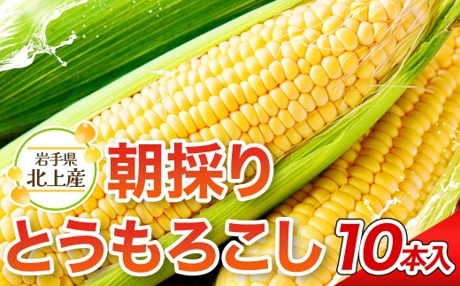 【予約受付 2026年7月中旬頃～発送】北上産のとうもろこし 10本 トウモロコシ きみ コーン 野菜 国産 岩手県 東北 夏野菜 展勝地 岩手県 北上市 C0380 展勝地レストハウス